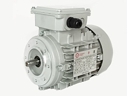 Электродвигатель АИС63C-4 0.25kW F IP55 V220/380/50