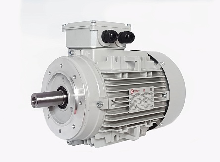 Электродвигатель АИС160MA-2 11kW F IP55 V380/660/50