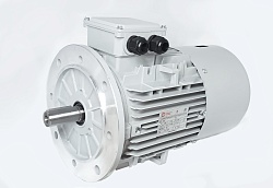 Электродвигатель АИС132S-6-Е 3kW F IP55 V380/660/50