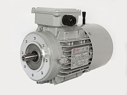 Электродвигатель АИС63A-4-Е 0.12kW F IP55 V220/380/50 