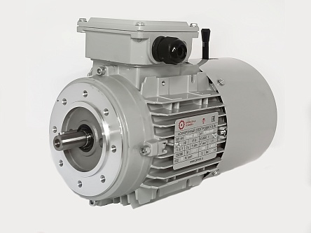 Электродвигатель АИС63C-4-Е 0.25kW F IP55 V220/380/50
