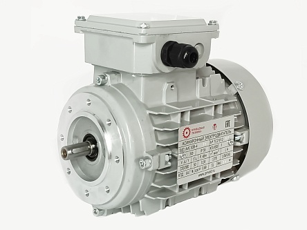 Электродвигатель АИС63A-6 0.09kW F IP55 V220/380/50